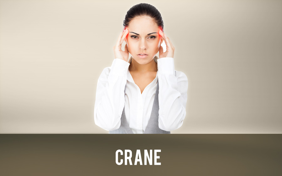 Crane